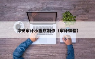阿拉尔淳安审计小程序制作（审计微信）